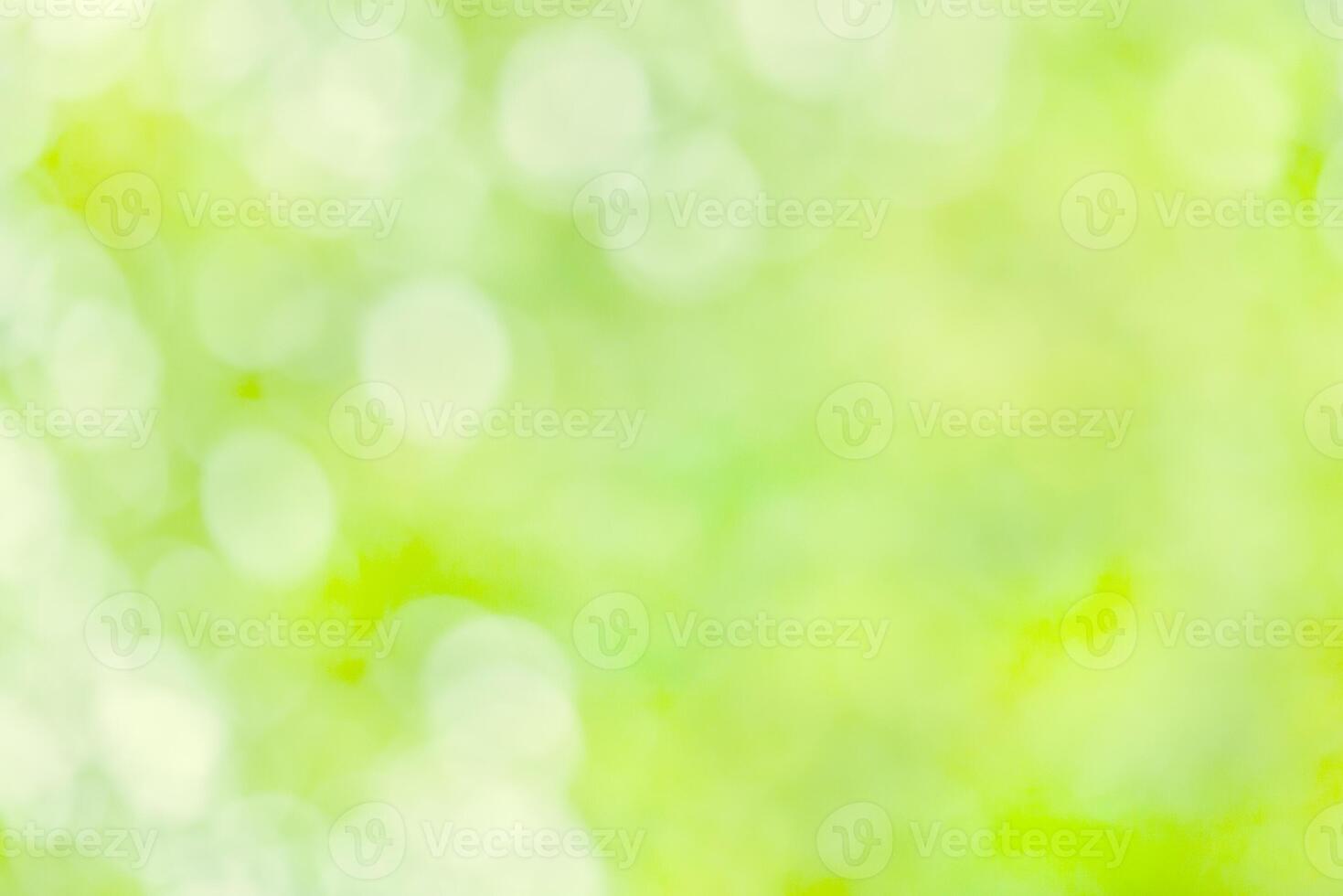 Natural green summer background with bokeh photo