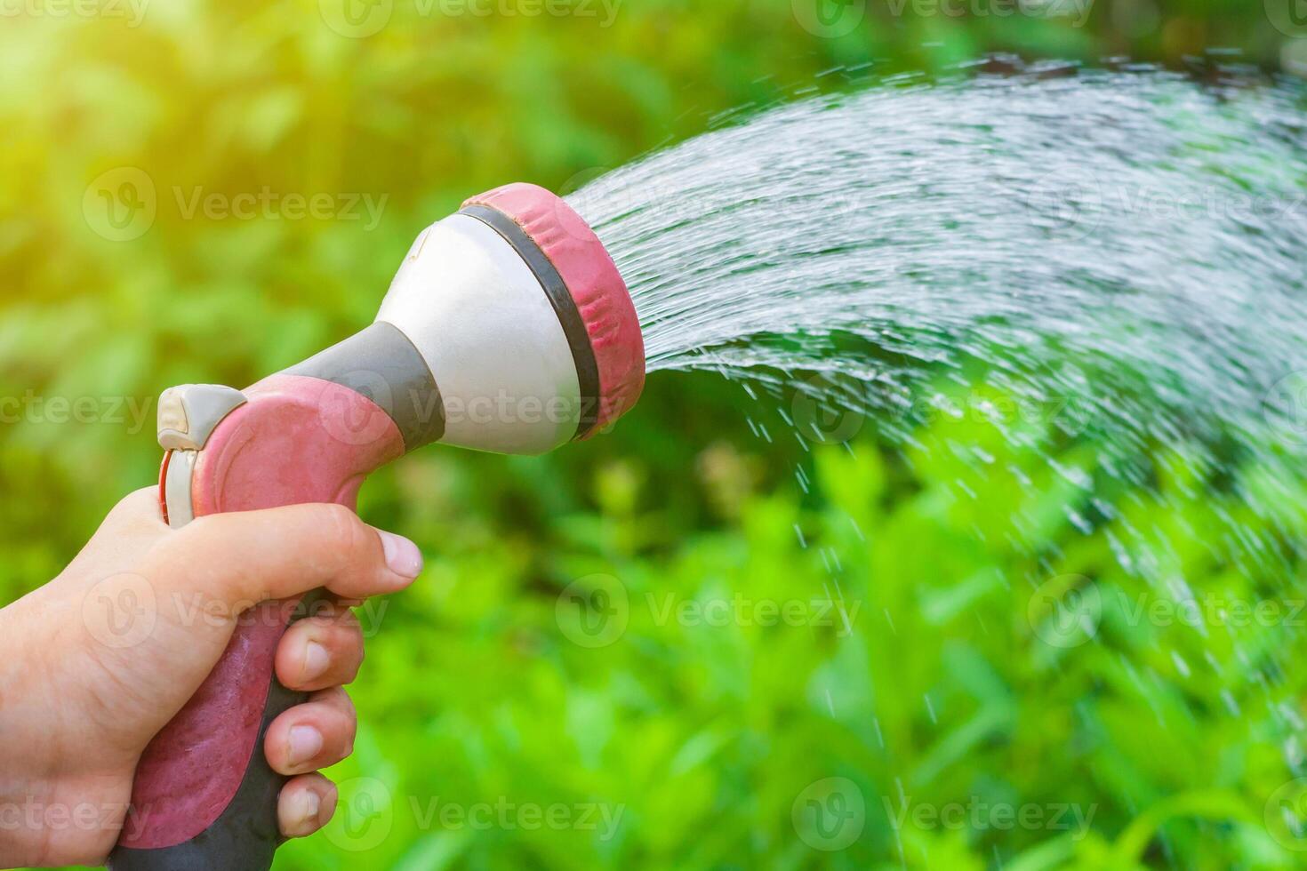 Male hand with spray gun watering a vegetable garden on a background of green plants in bokeh, illuminated by sunlight photo