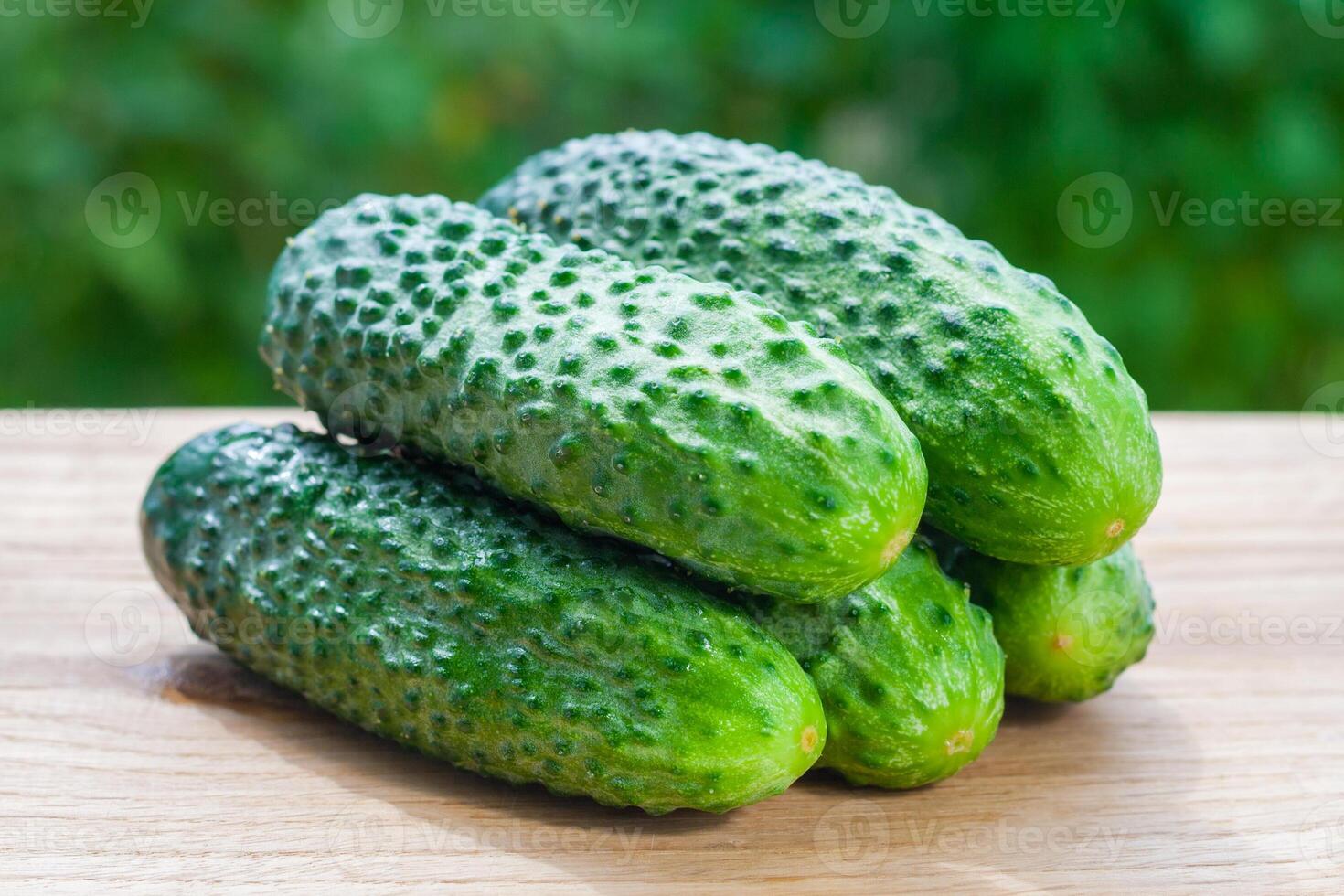 Close up view on a pile of fresh cucumbers on a wooden table on a background of green garden in bokeh photo