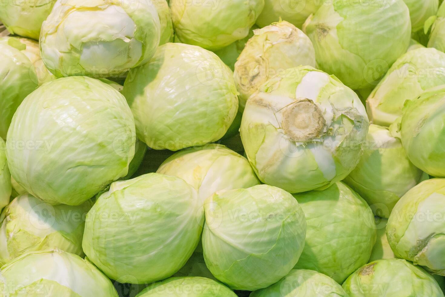 A pile of fresh white cabbage heads on the market as background, texture photo