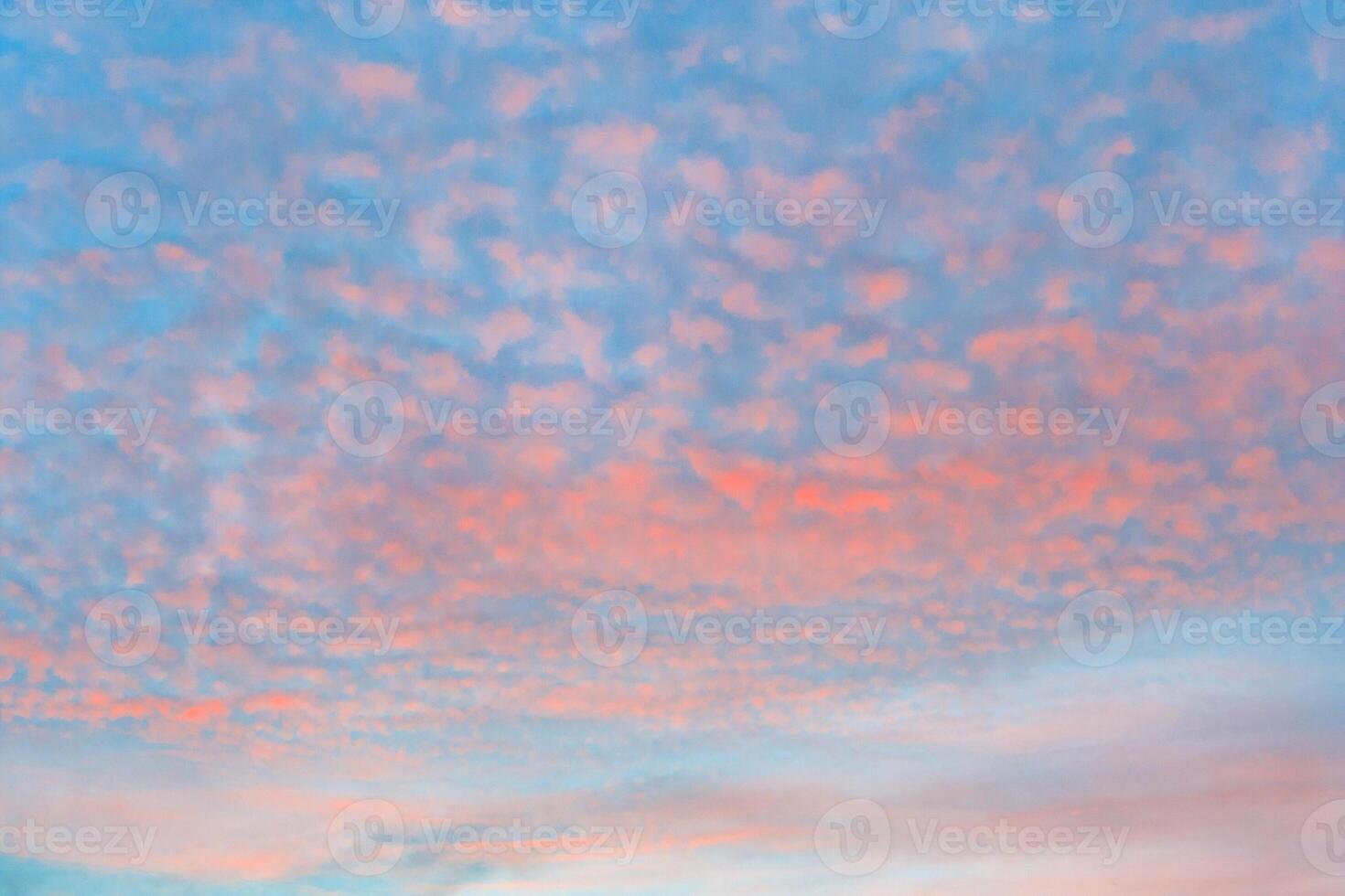 Bright orange cirrocumulus clouds on a background of azure sky photo
