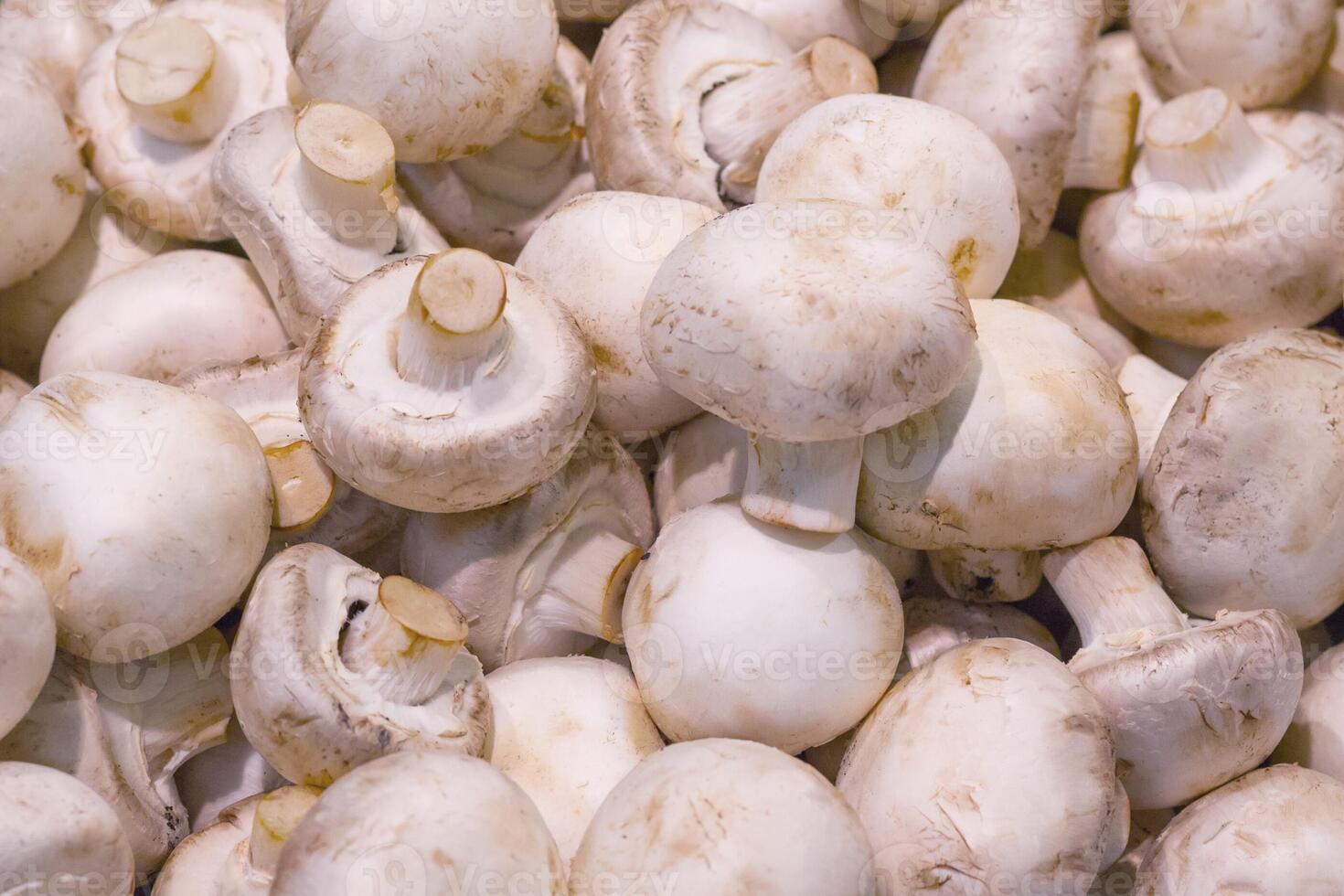 Champignon mushrooms on the counter in the supermarket photo