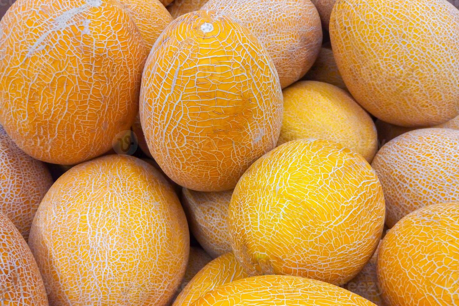 A pile of yellow melons as background, texture photo