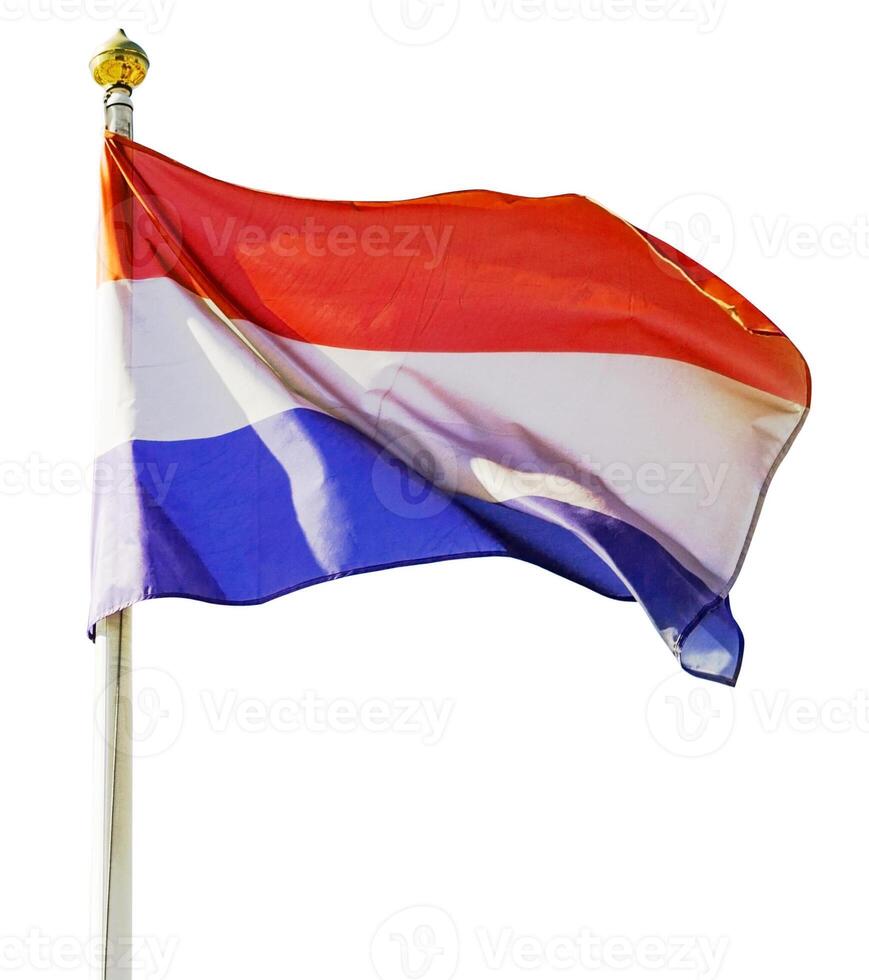 Flag of the netherlands on the white flagstaff with gilded tip photo