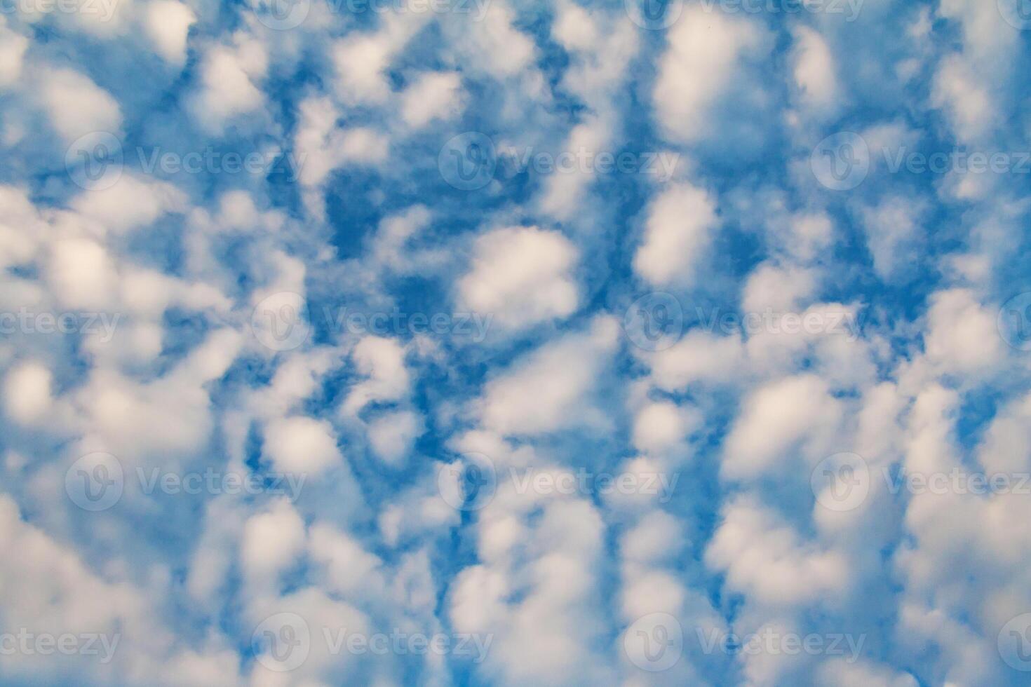 Cirrocumulus clouds as background, texture photo