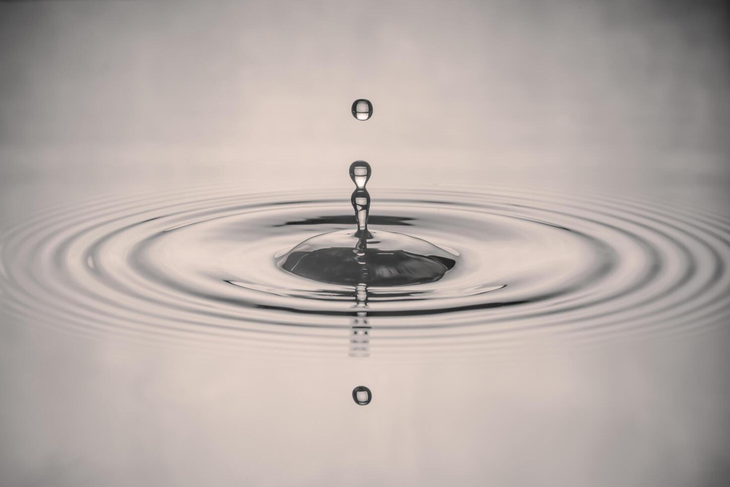 Water drops splash on the water's surface. black and white image style photo