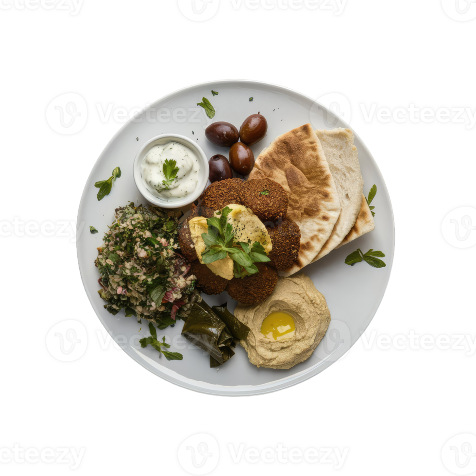 Falafel and hummus plate png