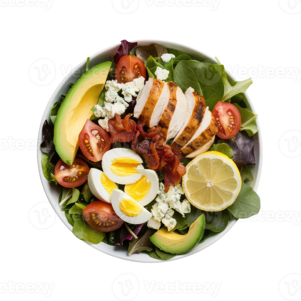 Isolated salad plate png