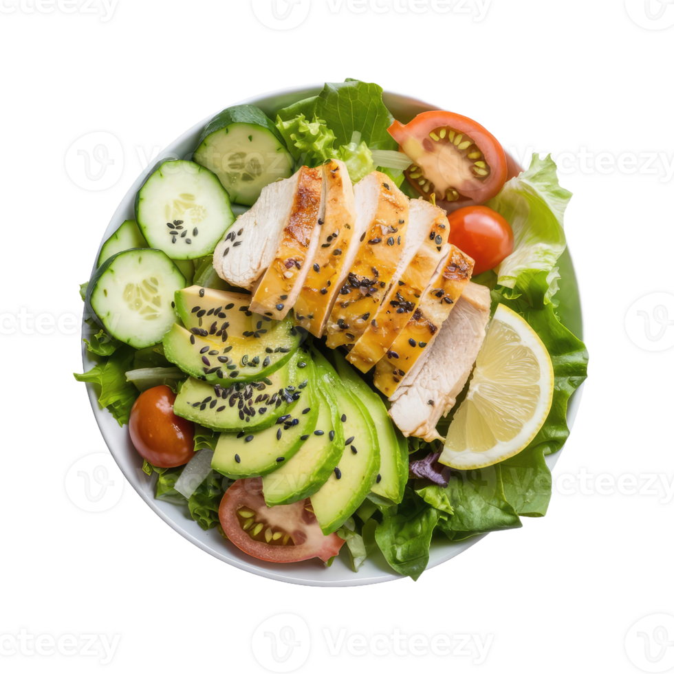 Isolated salad plate png