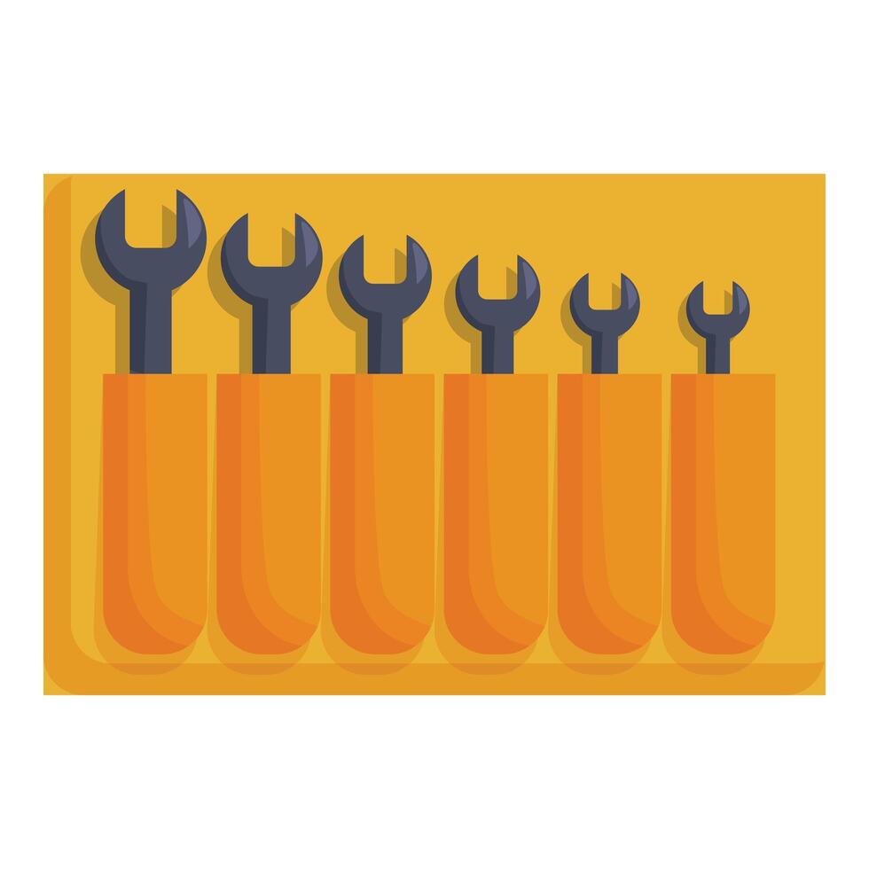 Set of wrenches organized in a toolbox for mechanics vector