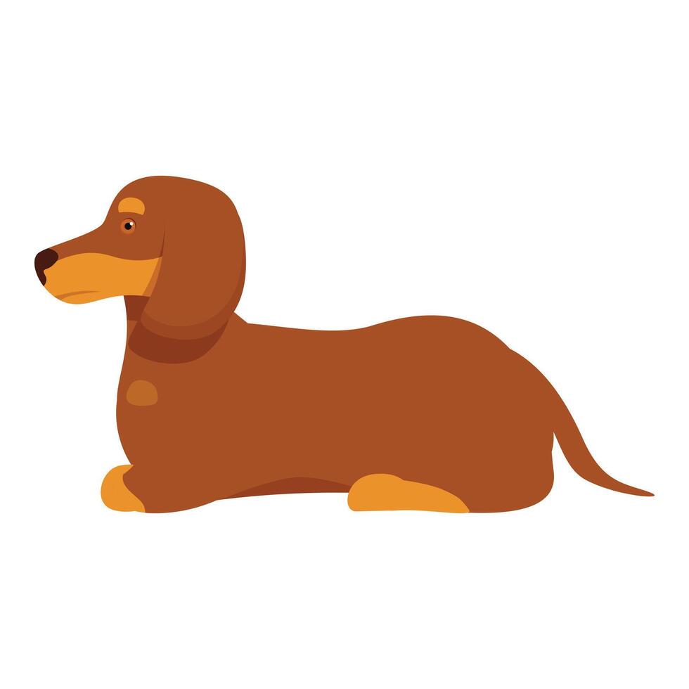 Brown dachshund dog lying down side view vector