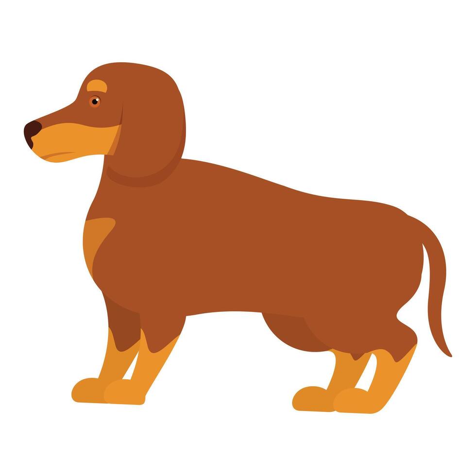 Brown dachshund standing side view illustration vector