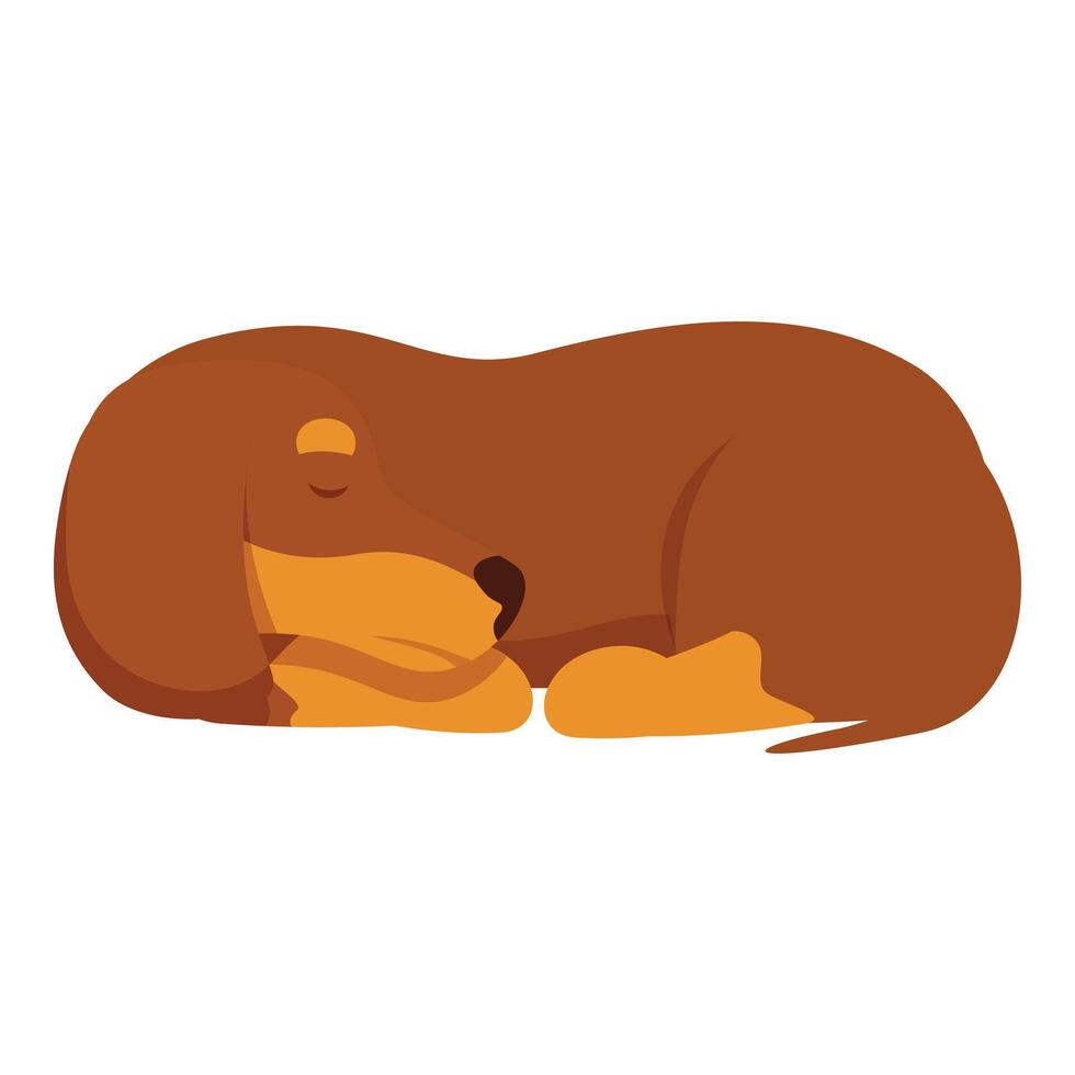 Brown dachshund dog sleeping peacefully on the ground vector