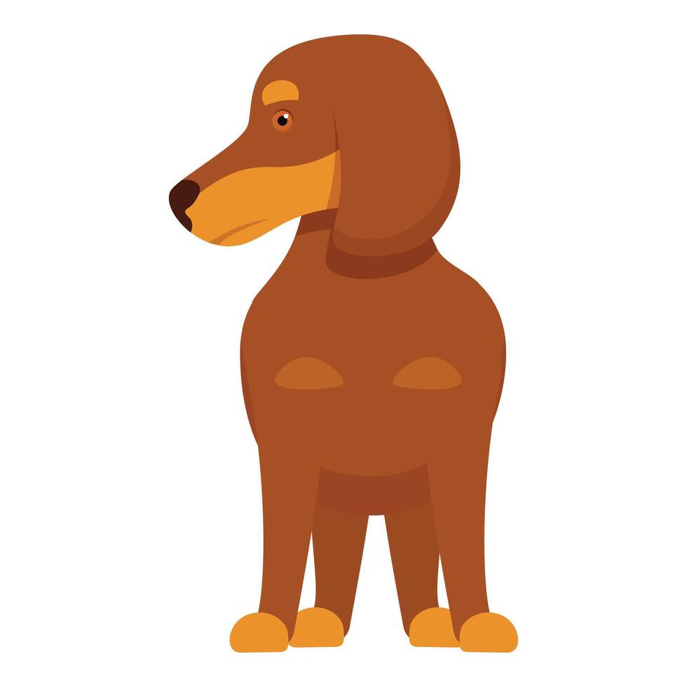 Brown dachshund standing and looking right vector