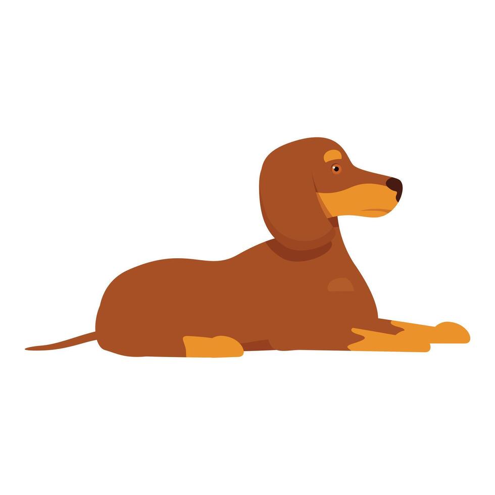 Brown dachshund dog lying down relaxing looking vector