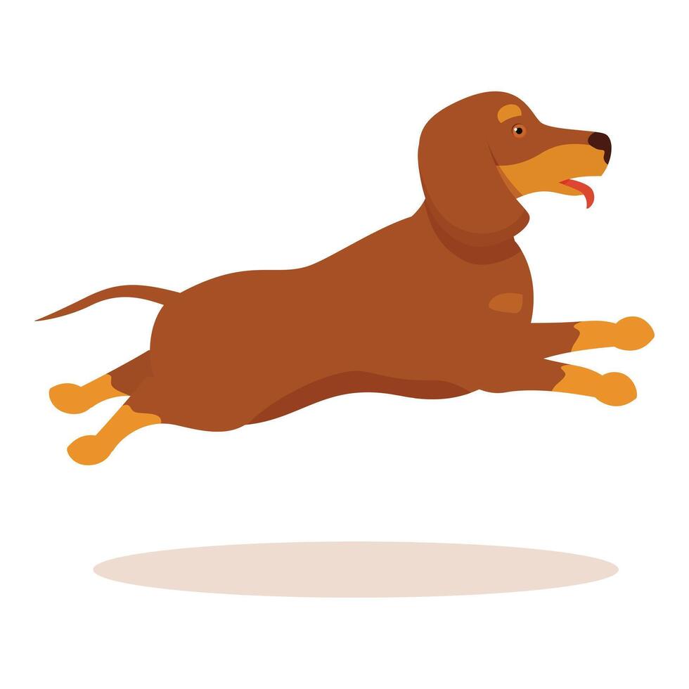 Dachshund dog jumping and having fun, happy brown puppy playing vector