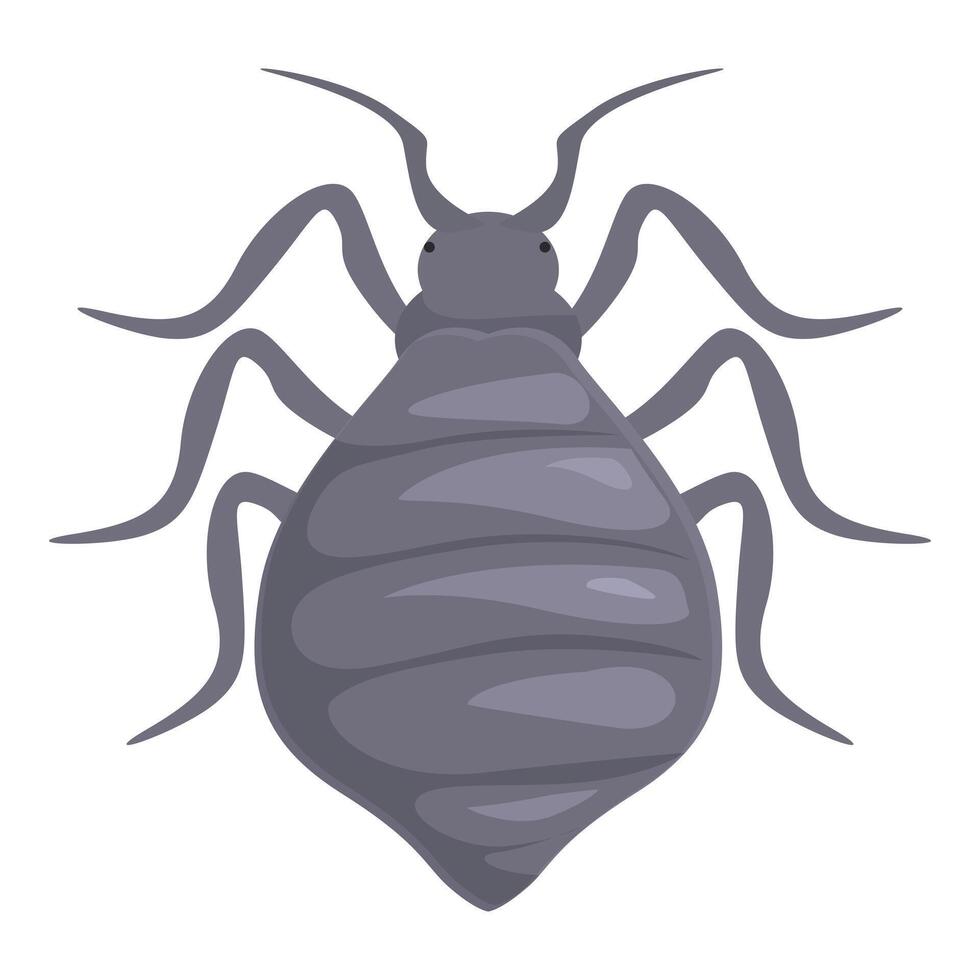 Gray bedbug spreading its legs on white background vector