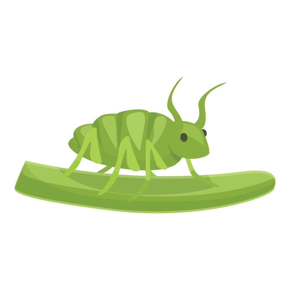 Green aphid walking on a stem illustration vector