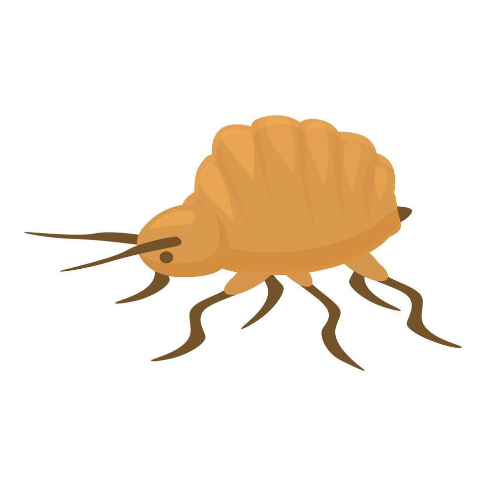 Flea insect is crawling on the ground vector