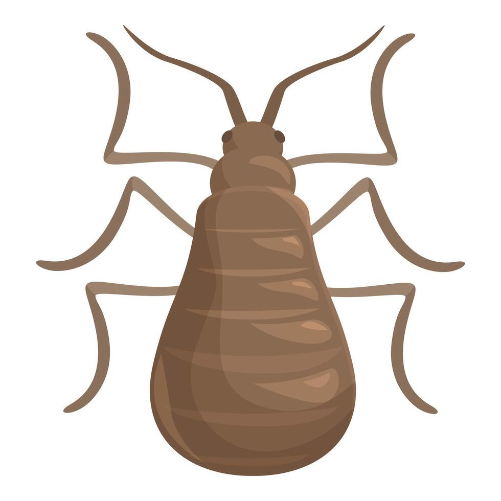 Big brown bedbug spreading its legs on white background vector