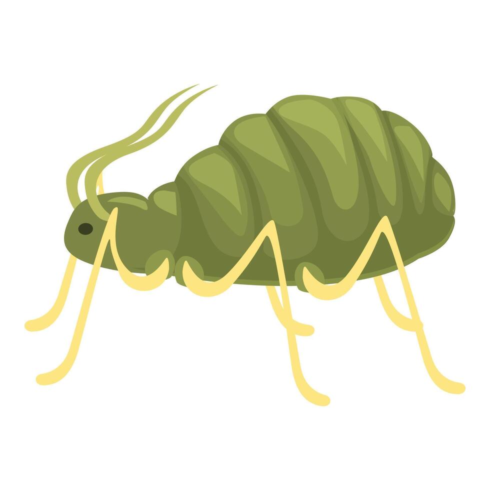 Green aphid insect pest crawling side view vector