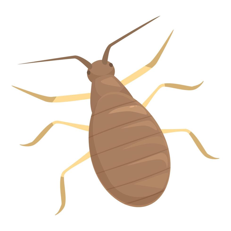 Brown bed bug crawling with long antennae vector