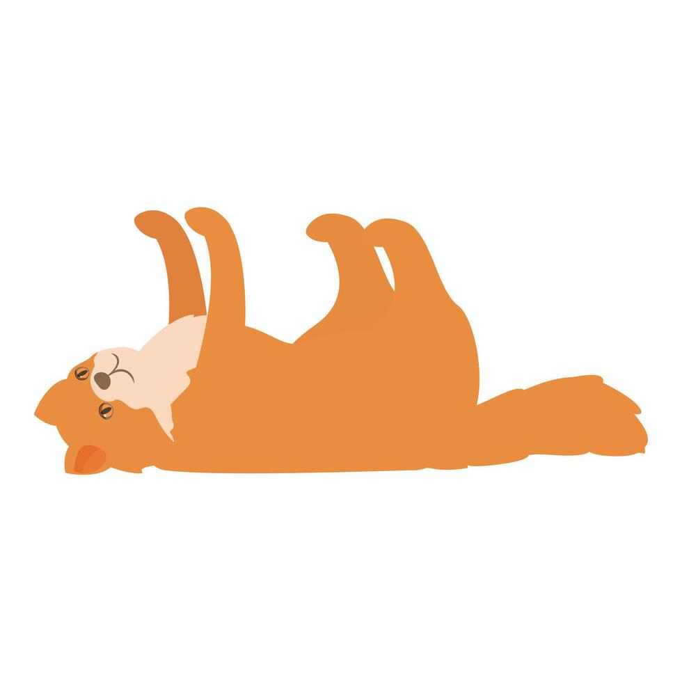 Playful ginger cat rolling on its back, showing belly vector