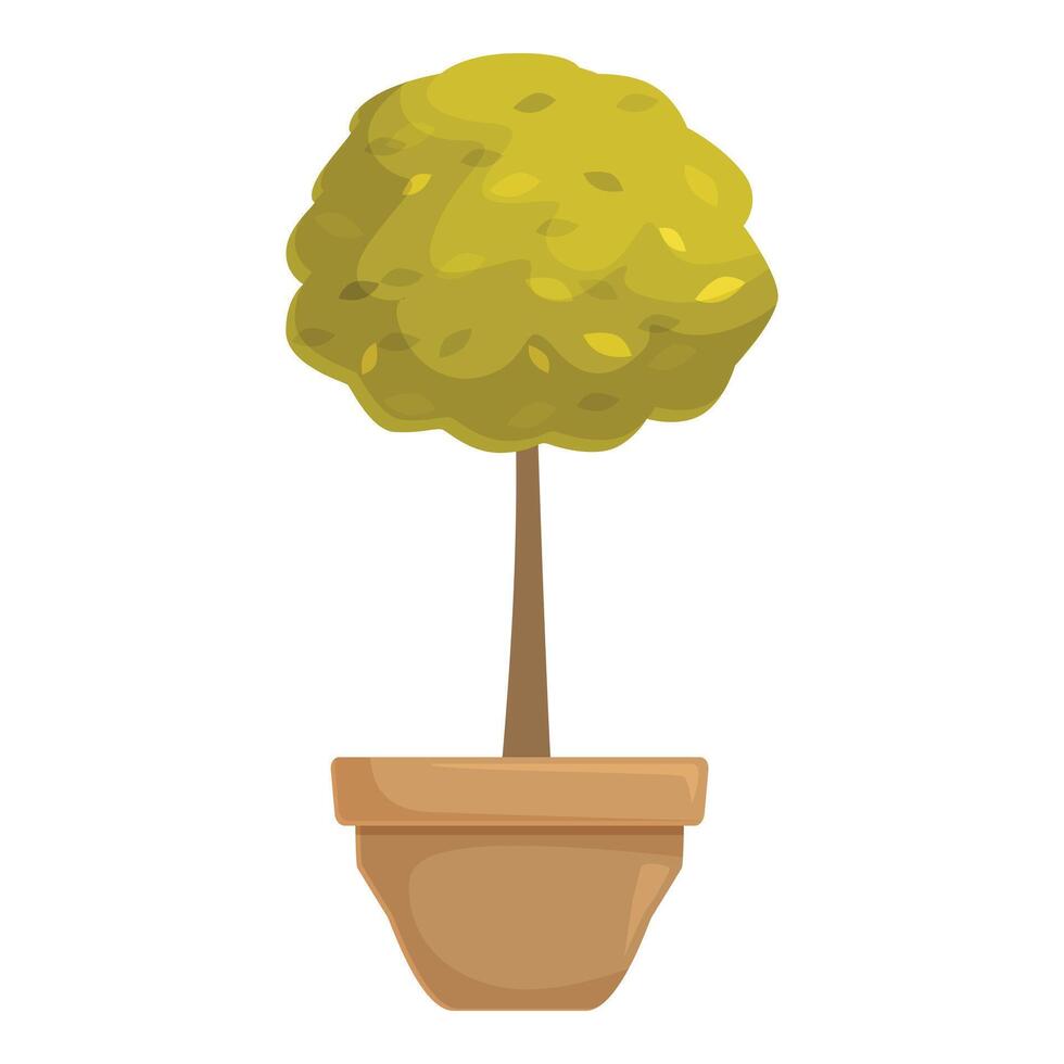 Small round bush with green leaves growing in pot vector