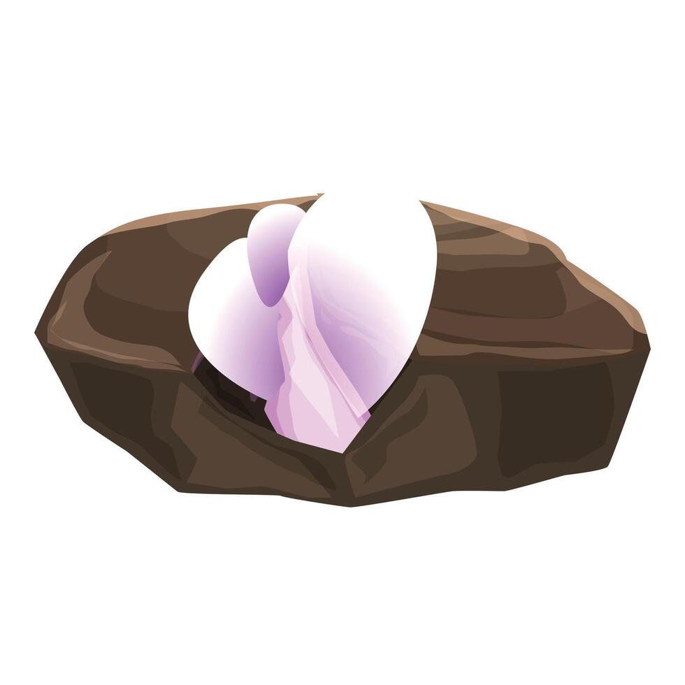 Beautiful pink flower growing on a brown stone vector