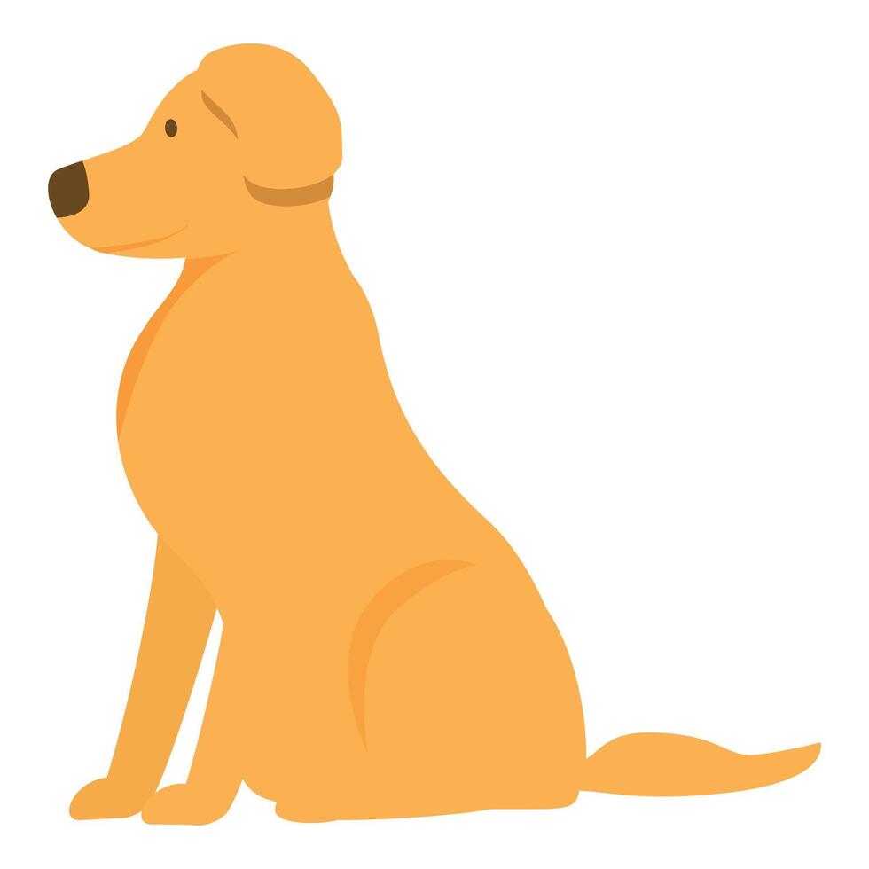 Golden retriever dog sitting posing looking away vector