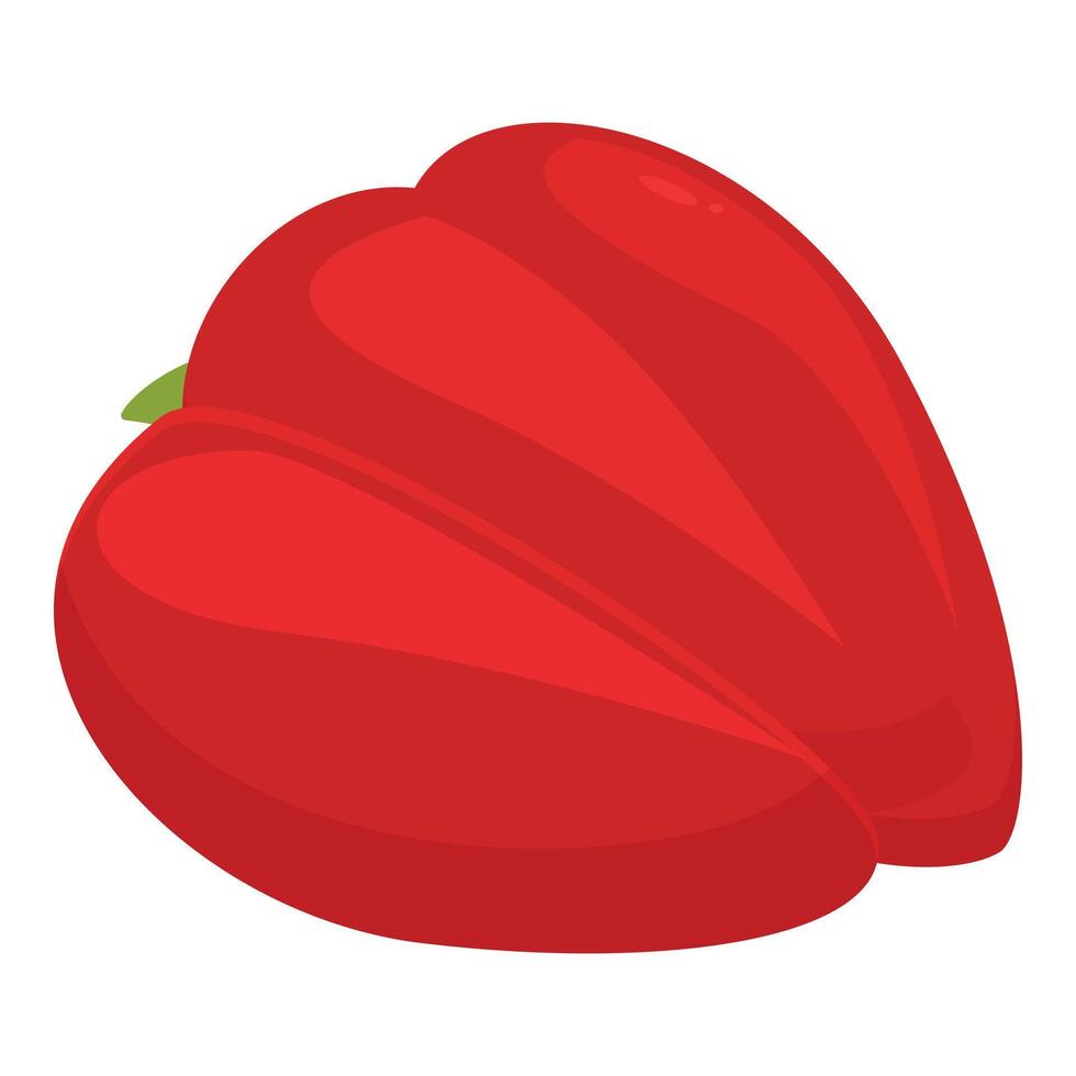 Single, ripe red bell pepper is lying on its side vector