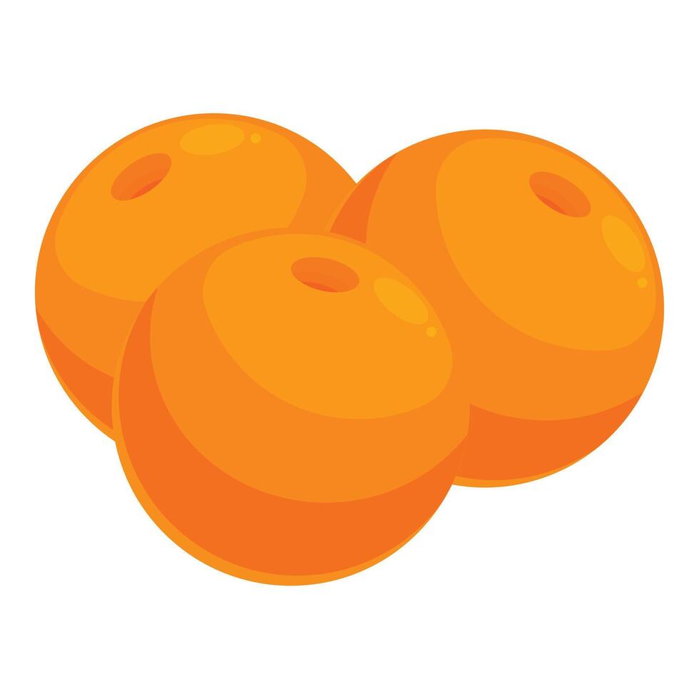 Three ripe oranges lying together on white background vector