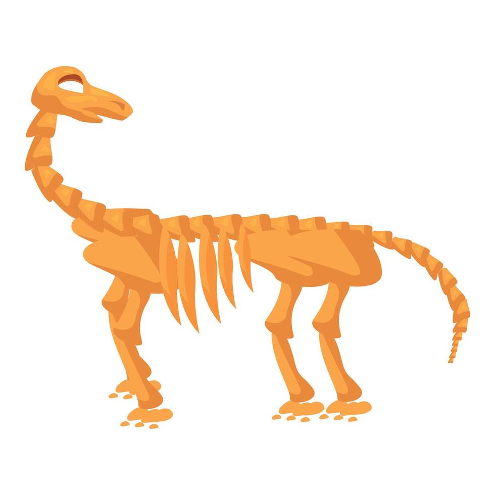 Diplodocus dinosaur skeleton posing in museum exhibition vector