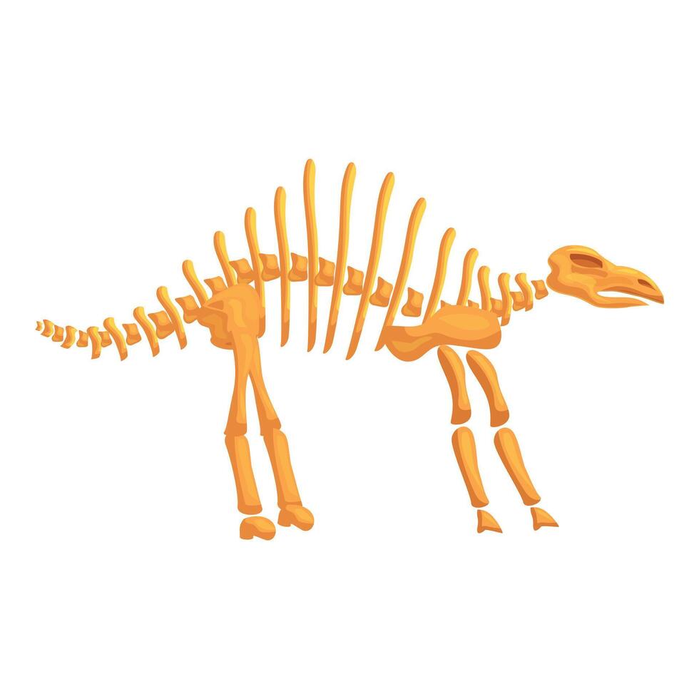 Parasaurolophus skeleton posing in museum of natural history vector