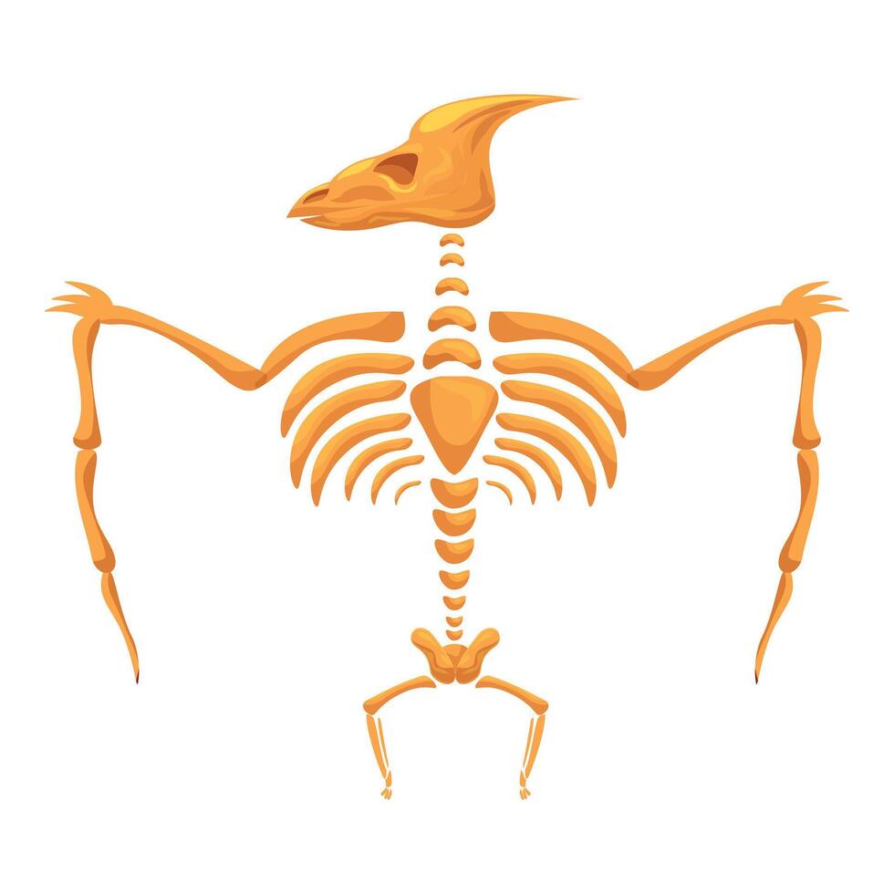 Parasaurolophus skeleton standing on two legs vector