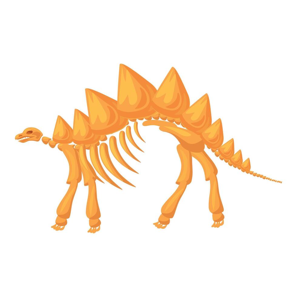 Stegosaurus skeleton standing side view prehistoric animal vector