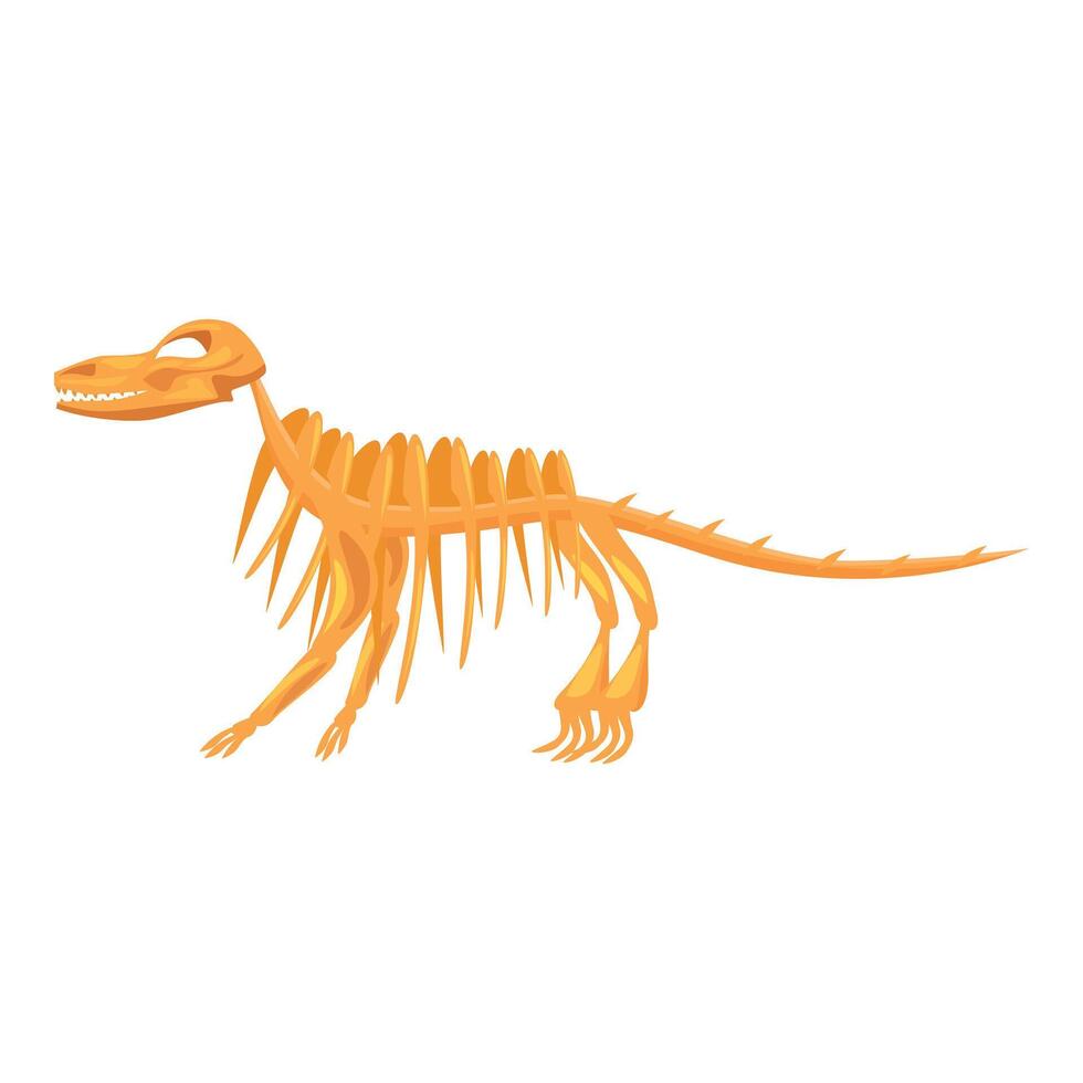 Dinosaur skeleton standing on two legs showing its teeth vector