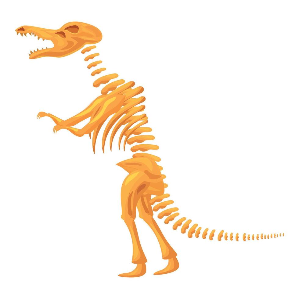 Tyrannosaurus rex skeleton standing on two legs vector