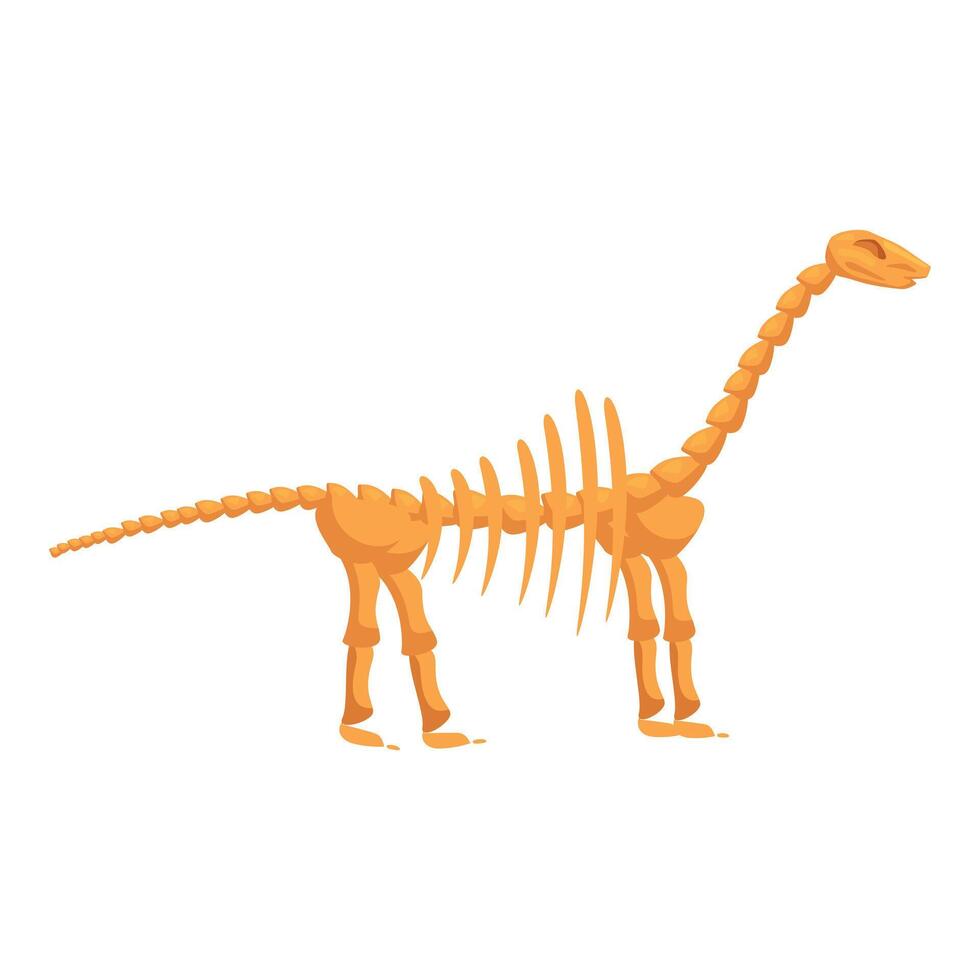 Brachiosaurus skeleton standing on ground dinosaur paleontology vector