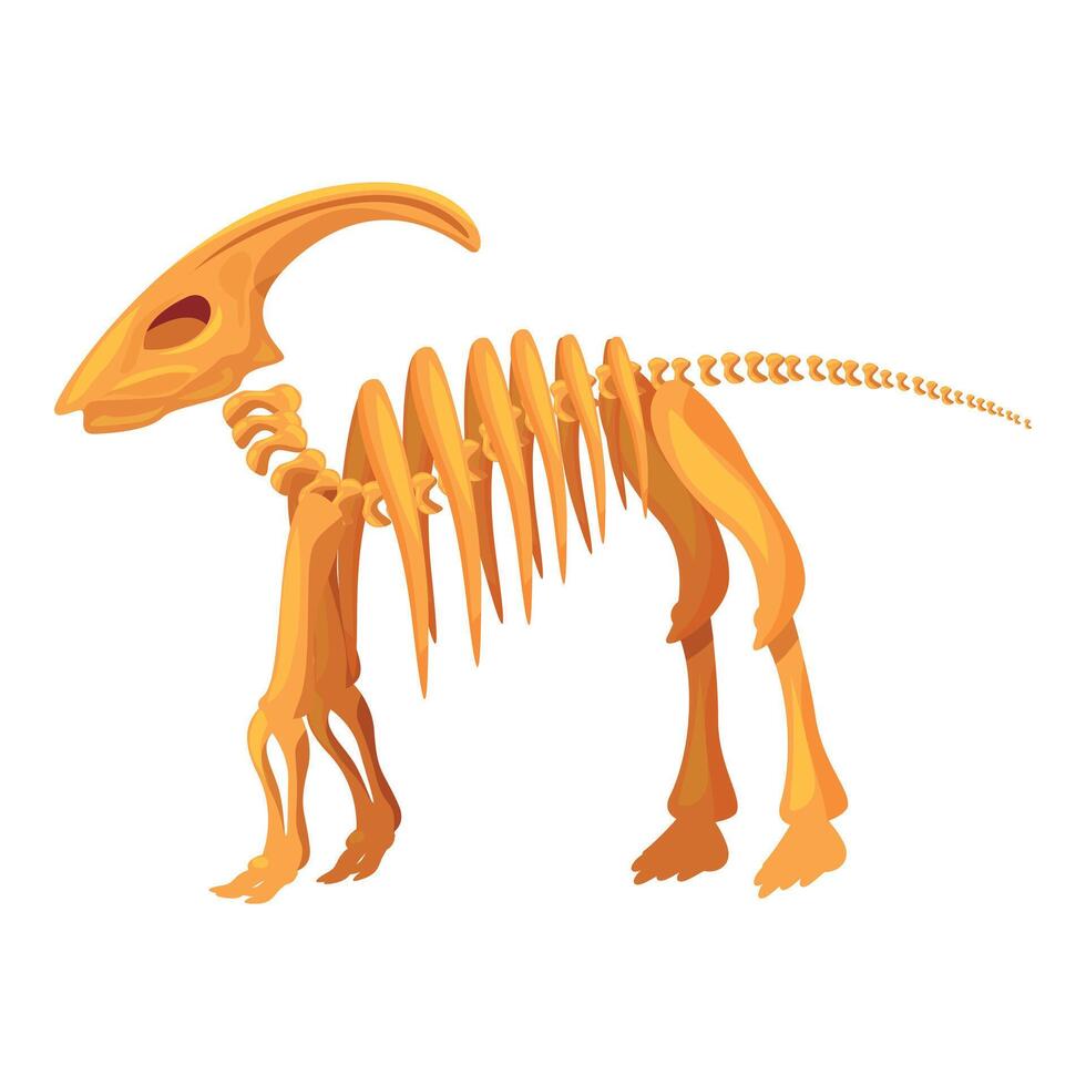 Parasaurolophus dinosaur skeleton standing on two legs vector