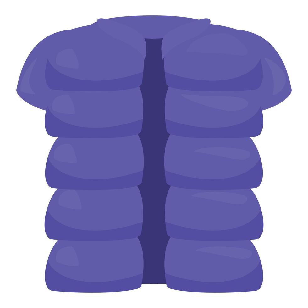 Warm winter down vest keeping you cozy during cold weather vector