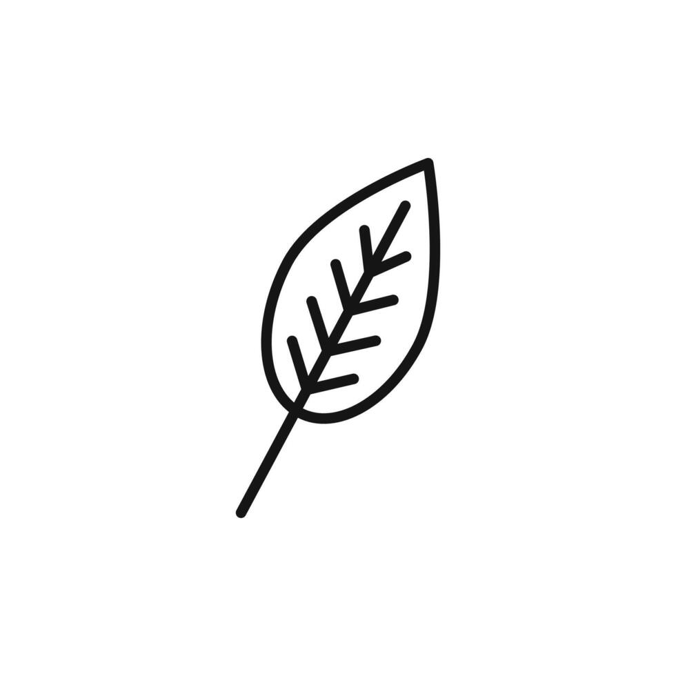 Leaf icon set vector