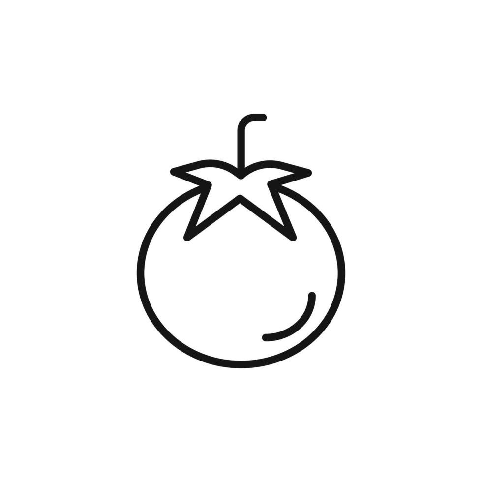 Tomato Icon Series Juicy Vegetable Illustrations for Cooking and Nutrition vector