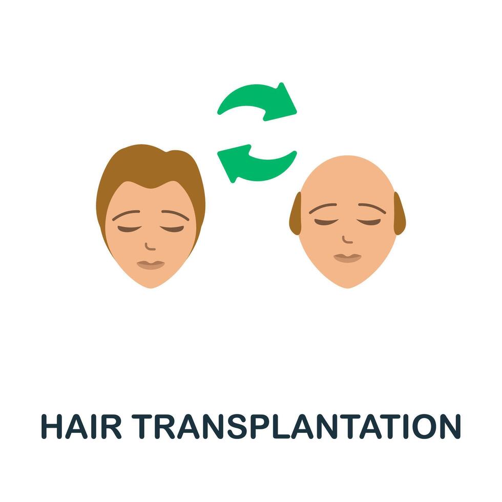Hair Transplantation flat icon. Colored sign from plastic surgery collection. Creative Hair Transplantation icon illustration for web design, infographics and more vector