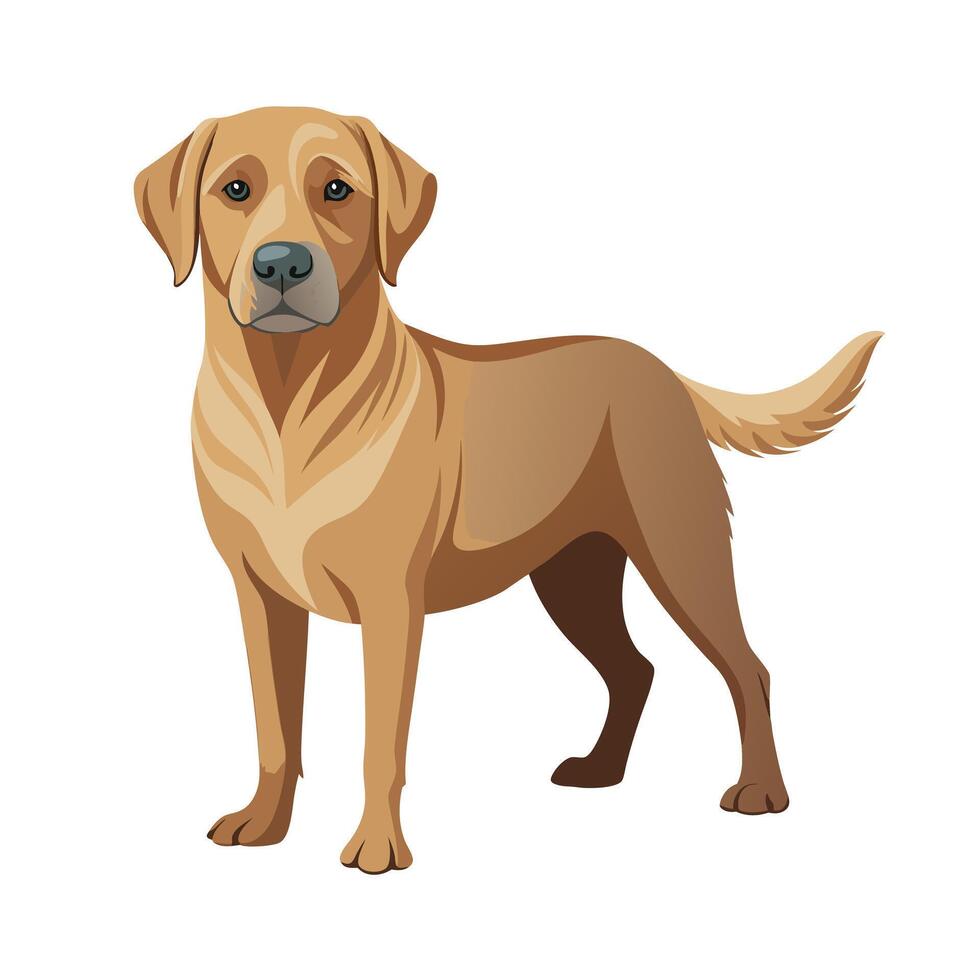 Realistic Illustration of Popular Pet Dogs vector