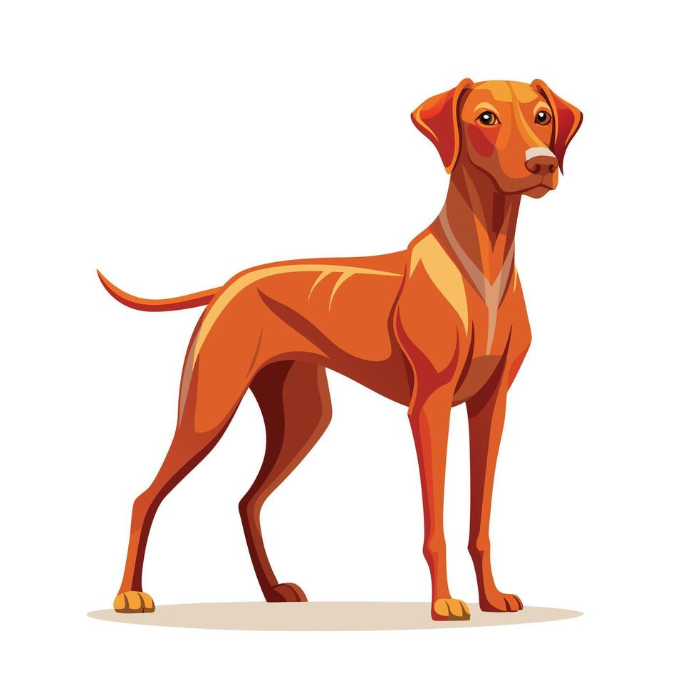Realistic Illustration of Popular Pet Dogs vector