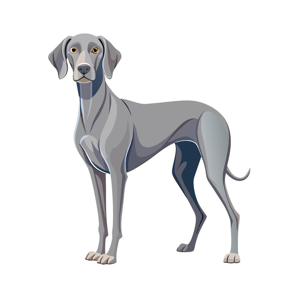 Realistic Illustration of Popular Pet Dogs vector