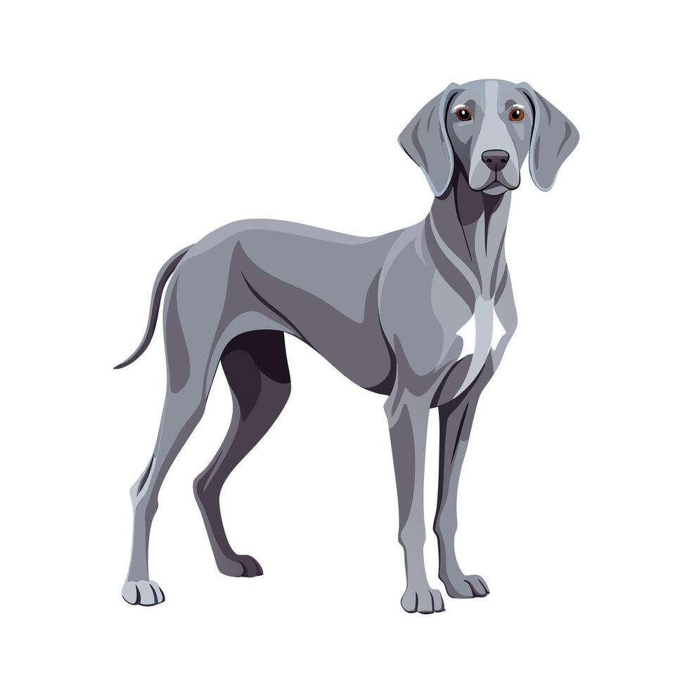 Realistic Illustration of Popular Pet Dogs vector
