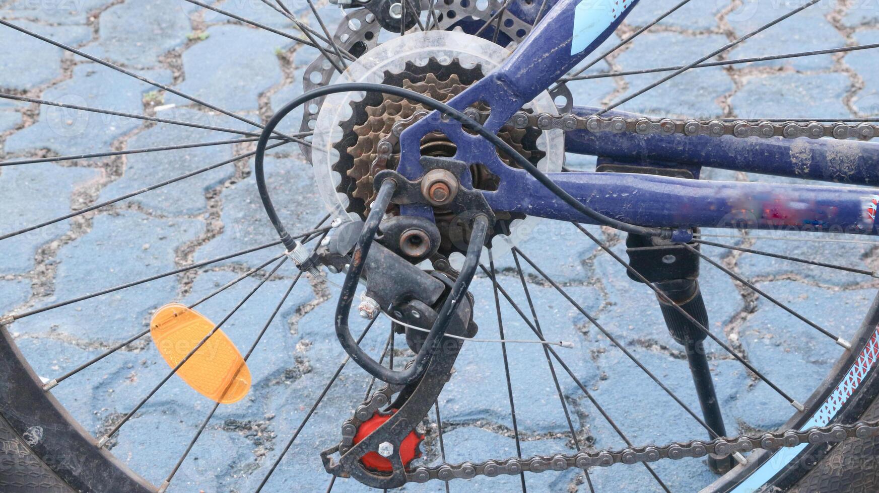 bicycle parked in blue field photo