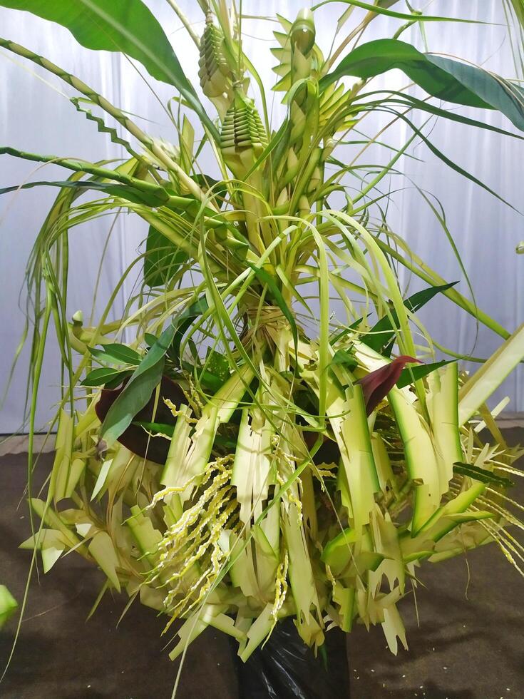 traditional javanesse wedding decoration from young coconut leaves. origami java photo